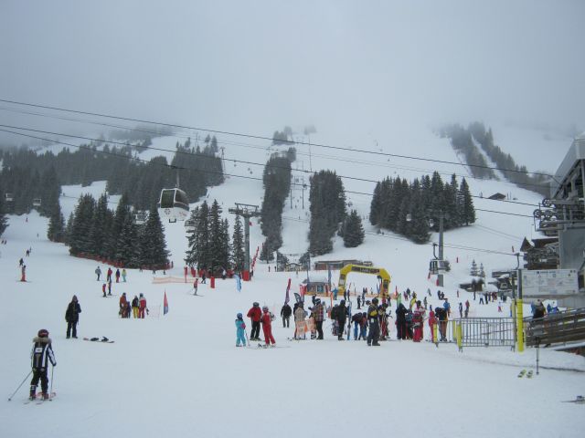 IMG 4287