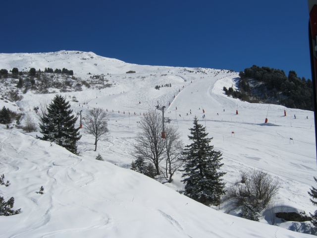 IMG_4407.jpg