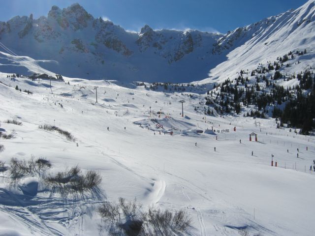 IMG_4431.jpg