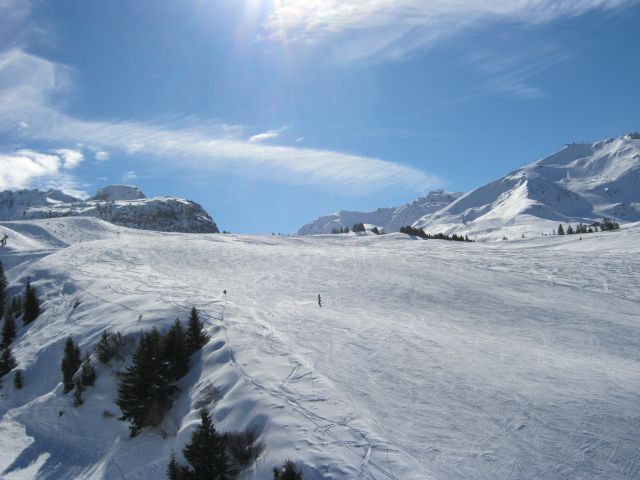 IMG 4228