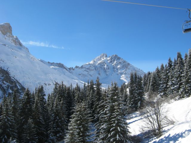 IMG 4156