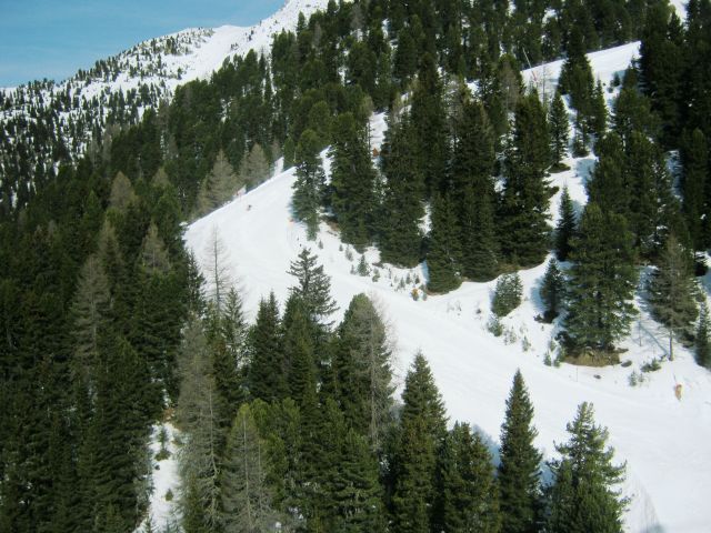 211.JPG