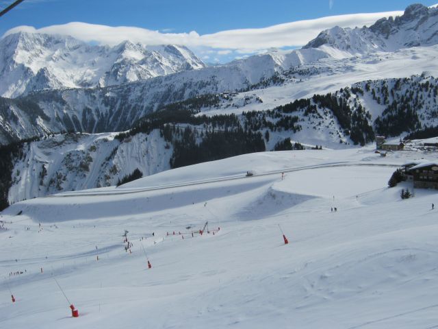 IMG 4165