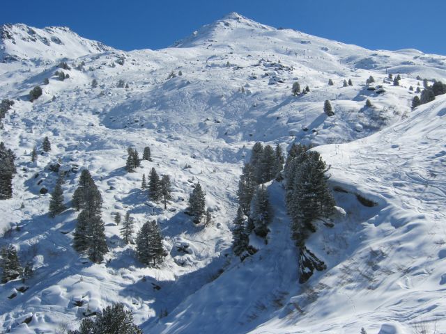 IMG_4393.jpg