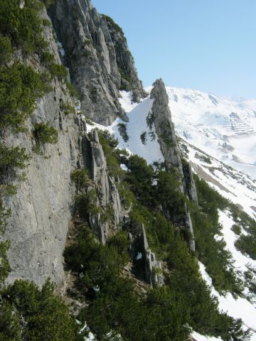 650.JPG