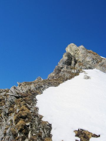 637.JPG