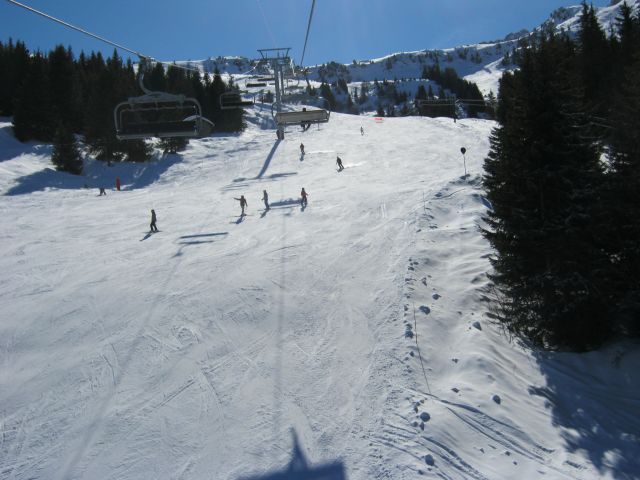 IMG 4174