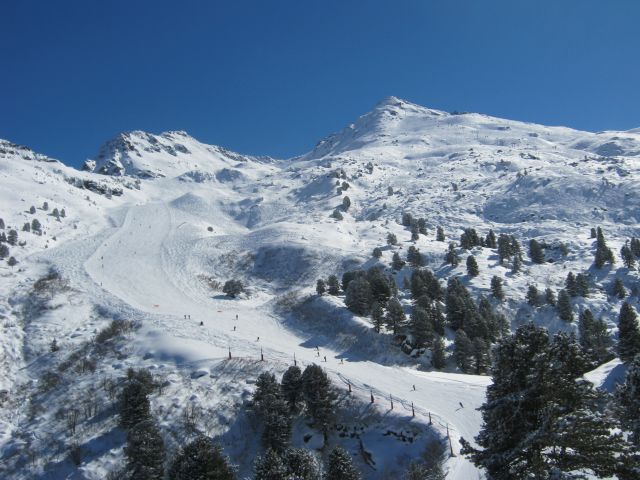 IMG_4386.jpg