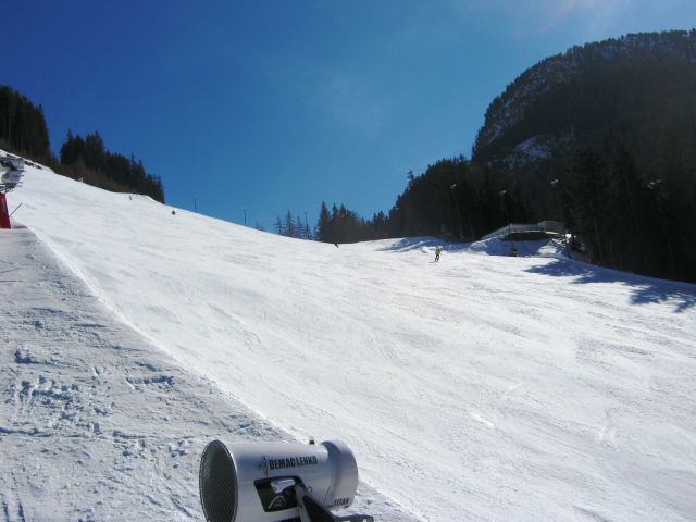 290.JPG