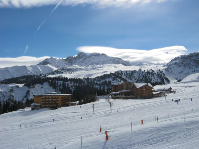 IMG 4161