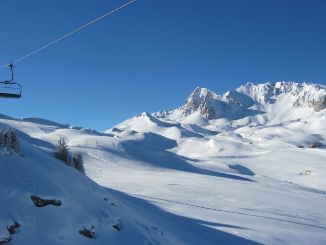 IMG_4331.jpg