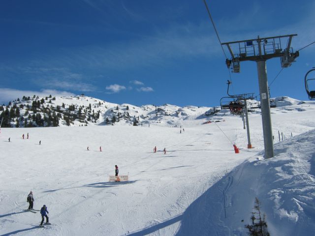 IMG 4231