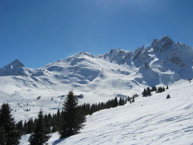 IMG_4420.jpg