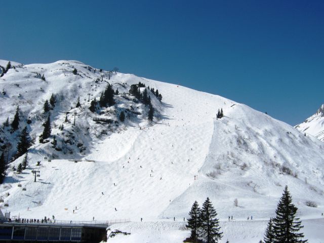 659.JPG