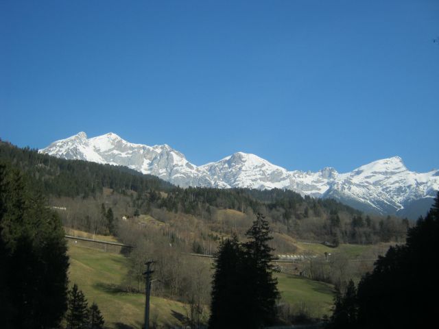 592.JPG