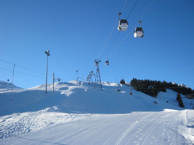 IMG_4310.jpg