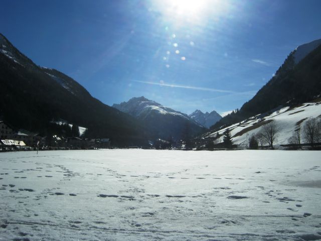 295.JPG