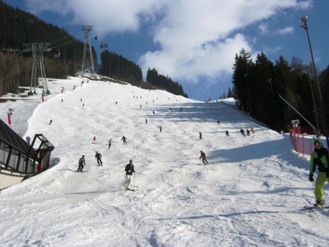 584.JPG