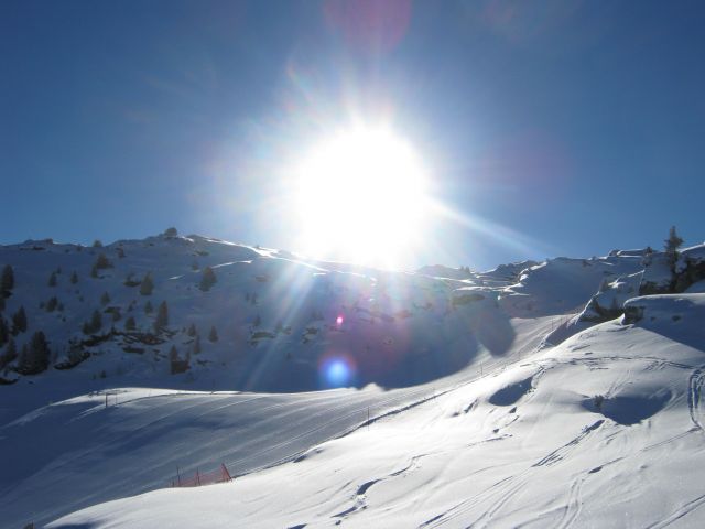 IMG_4329.jpg