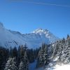 IMG_4335.jpg