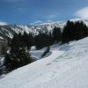 IMG 4213