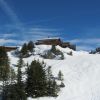 IMG 4230