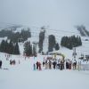 IMG 4287