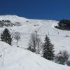 IMG_4407.jpg