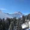 IMG 4156