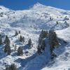 IMG_4393.jpg