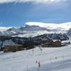IMG 4161