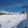 IMG 4231