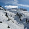 IMG 4229