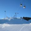 IMG_4310.jpg
