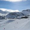 IMG 4164