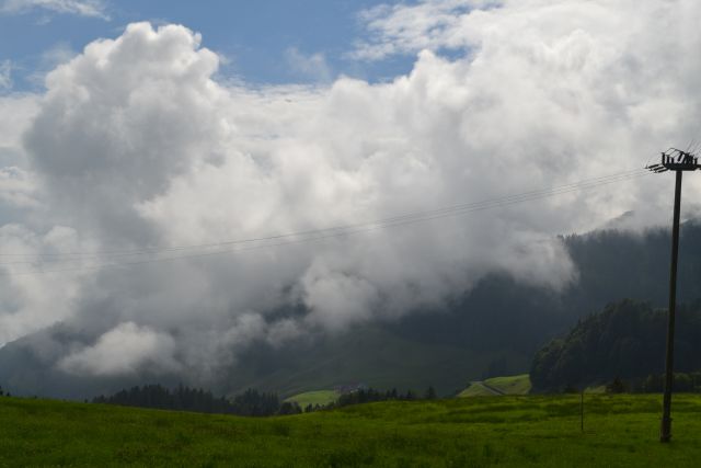 DSC 1071