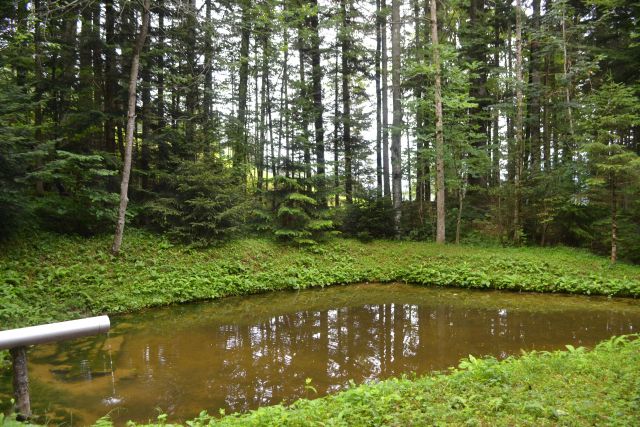 баннопрачка