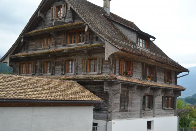 DSC 0900