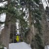 IMG 20150307 WA0012