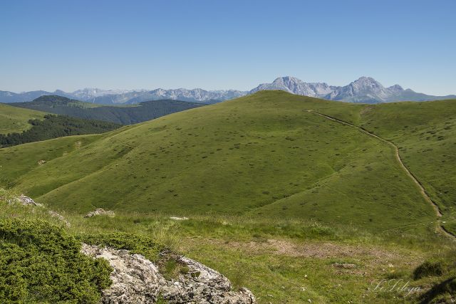 DSC03165aa