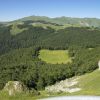 DSC03215