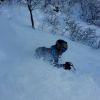 IMG 20160103 WA0006