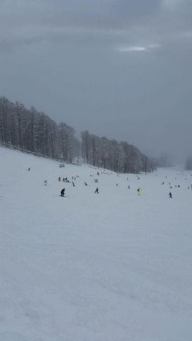Трассы