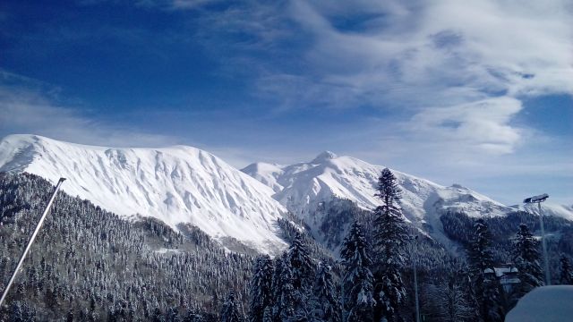 IMG 20160116 110121