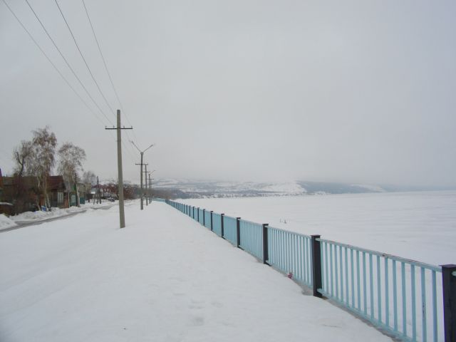 IMGP2172