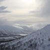 IMG 8855