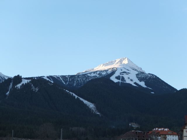 DSCF6133