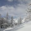 DSC08447