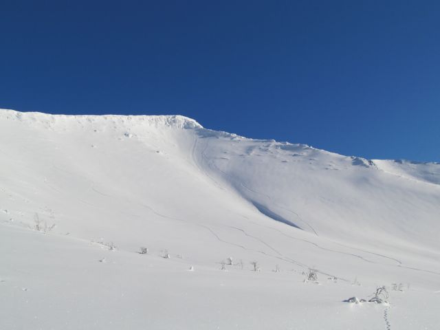 Свежачок .