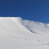 Свежачок .